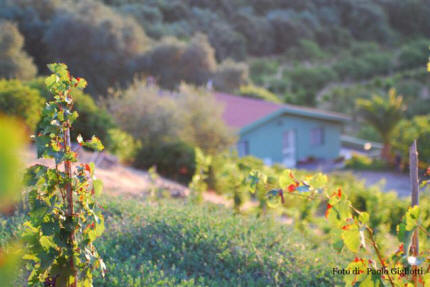 Agriturismo S'Ortu e su Riu