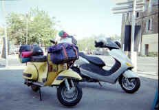 I fidi compagni di viaggio